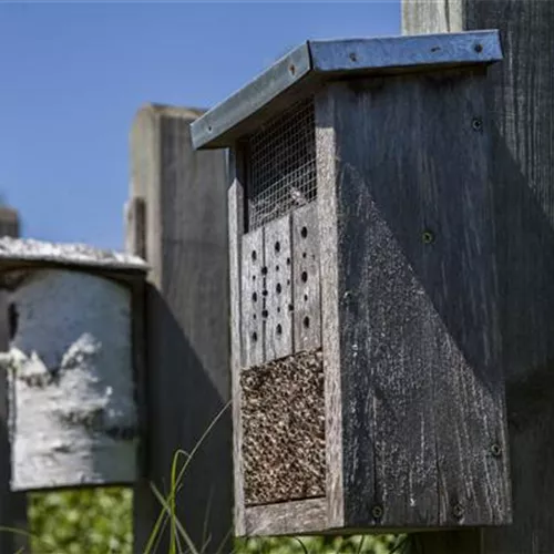 Bauen Sie ein Insektenhotel 