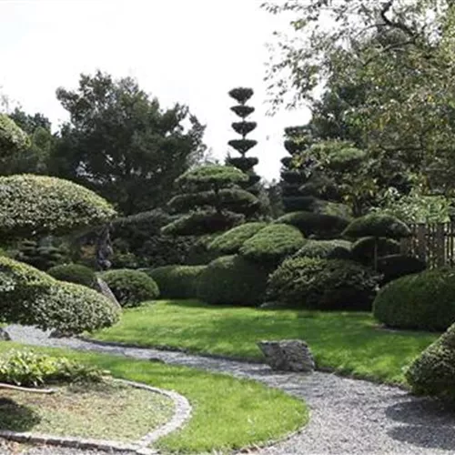 Gartengestaltung - Japangarten