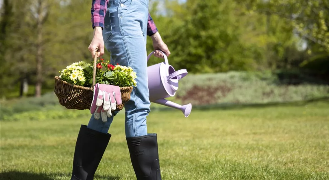 Frau bei der Gartenarbeit (GS619862.jpg)